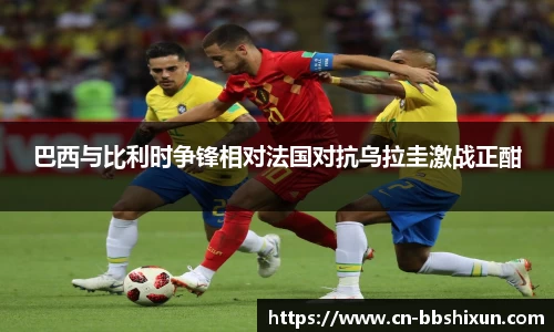 BB视讯官方网站